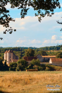 Le chateau de Bourgon 16460 Valence