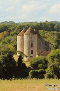 Le chateau de Bourgon 16460 Valence