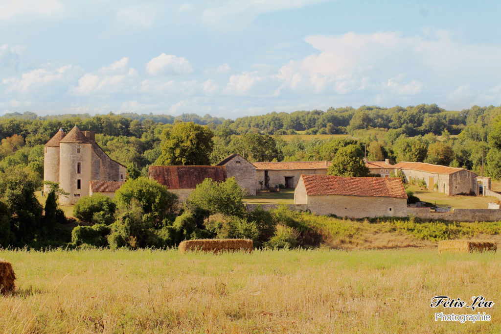 Le chateau de Bourgon 16460 Valence