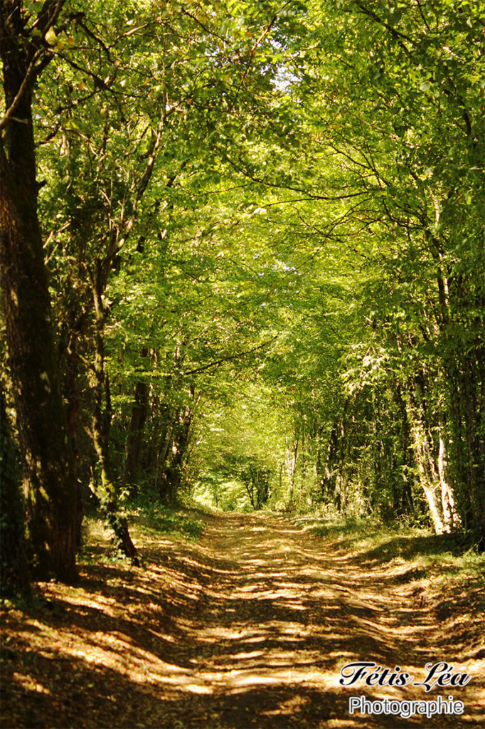 Forêts_Valence-16460