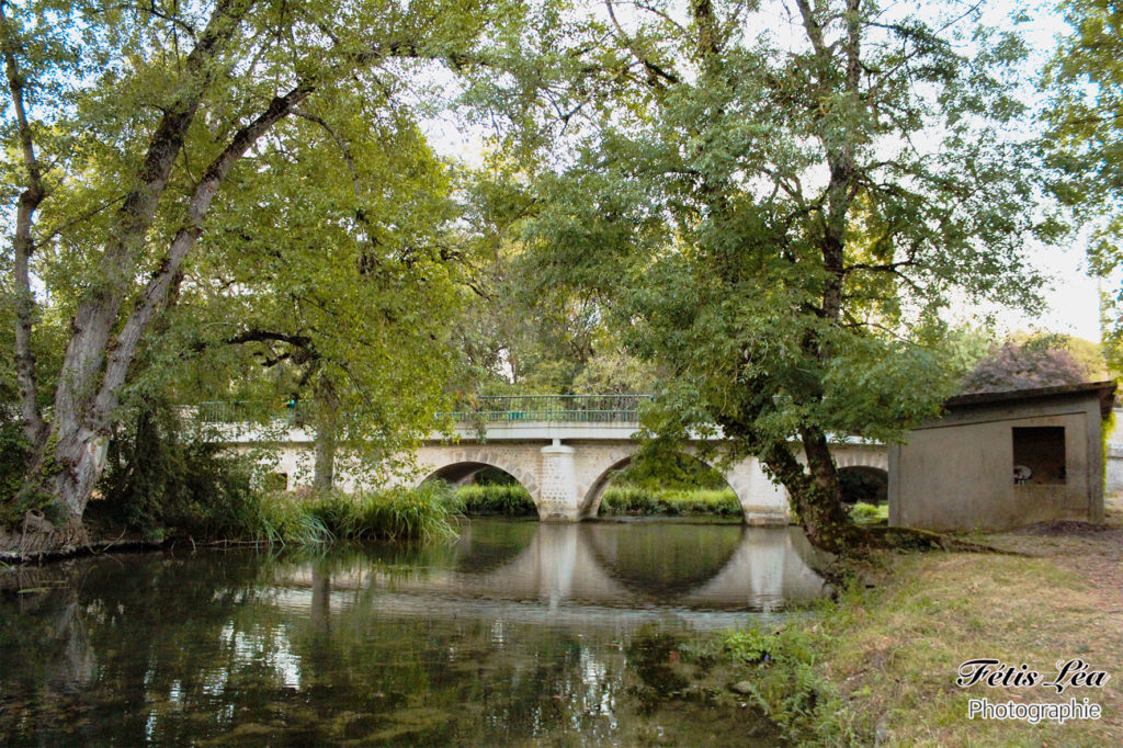 Le pont de Valence vu du Son-Sonnette